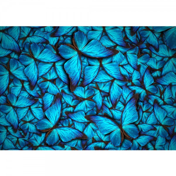 Fototapete Tiere Tapete Schmetterlinge Tiere Natur Blau blau | no. 192