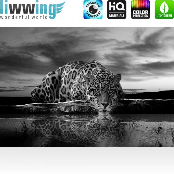 Fototapete Tiere Tapete Jaguar Sonnenuntergang Himmel Wasser schwarz - weiß | no. 614