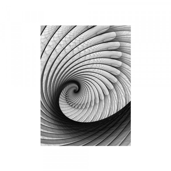 Fototapete 3D Tapete Abstrakt Muschel Geflecht Netz Tunnel Spirale 3D schwarz - weiß | no. 938