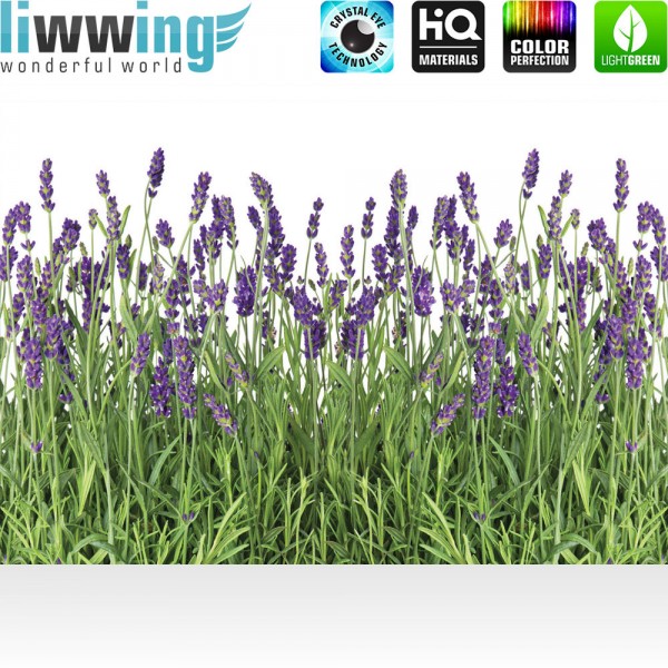 Fototapete Natur Tapete Lavendel Pflanze Wiese Blüten grün | no. 612