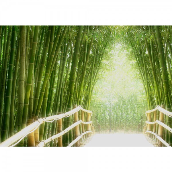 Fototapete PREMIUM PLUS Wand Foto Tapete Bild Vliestapete - BAMBOO WALK - Bambusweg Bambuswald Dschungel Asia Asien Bamboo Way Wald - no. 002