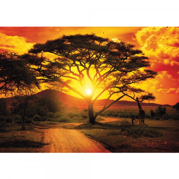 Fototapete Afrika Tapete Sonnenuntergang Baum Weg Giraffe Savanne Himmel Pflanze Afrika gelb | no. 999