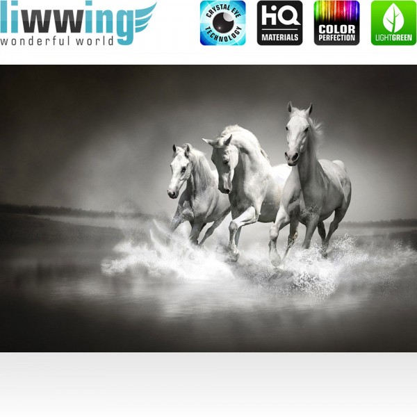 Fototapete Tiere Tapete Pferd Wasser Schimmel Rennpferd schwarz - weiß | no. 1015