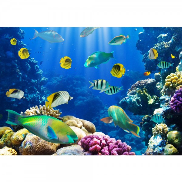 Fototapete Underwater World Tiere Tapete Aquarium Unterwasser Meereswelt Meer Fische Riff Korallenriff blau | no. 33