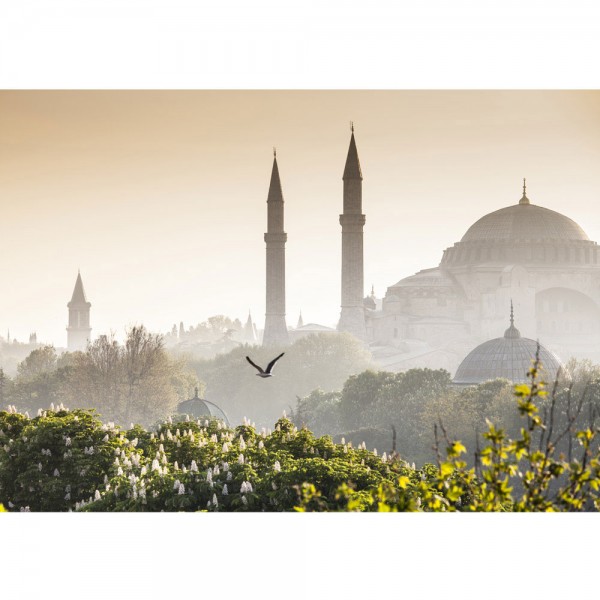 Fototapete Türkei Tapete Istanbul Türkei Moschee Natur Nebel braun | no. 250