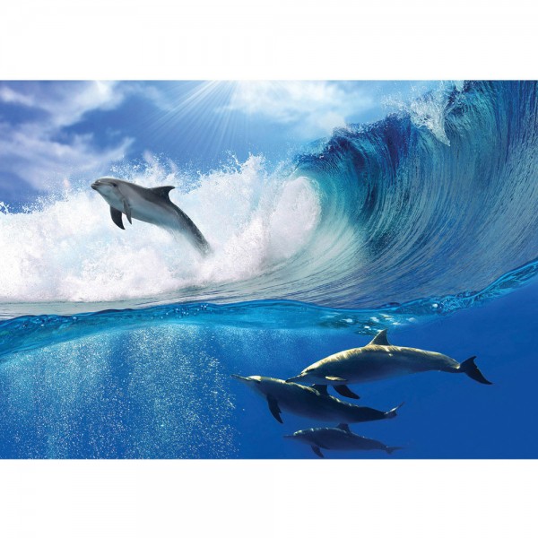 Fototapete Meer Tapete Delfin Meer Welle Tropfen Sonne Wasser blau | no. 531