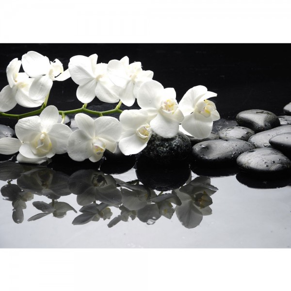 Fototapete White Orchids an Black Stones Ornamente Tapete Orchidee Blumen Blumenranke Rosa Pflanzen schwarz | no. 97